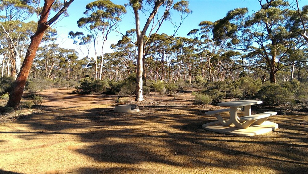 Hyden Norseman Road BOG Treks