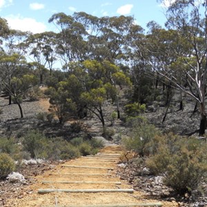 Steep area on woodlands walk trail