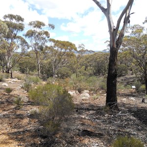 lovely vista - Norseman's woodlands walk trail