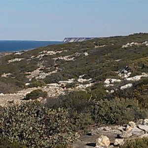 IMAG0643.jpg