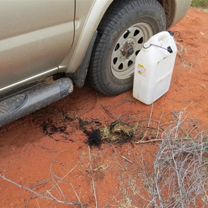 Extinguished spinifex fire