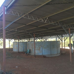 IMAG0861.jpg