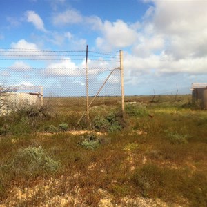 photo 2.JPG