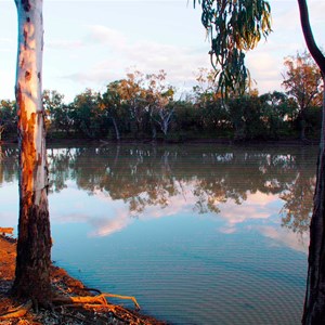 Rainbow Recreational Reserve, near Goondiwindi