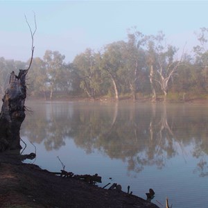 Rainbow Reserve Reflections in the mist.