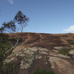 Mt Wudinna