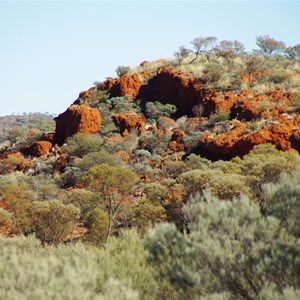 Yarla Kutjarra