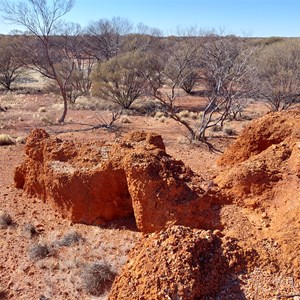 Tjukayirla Zoo