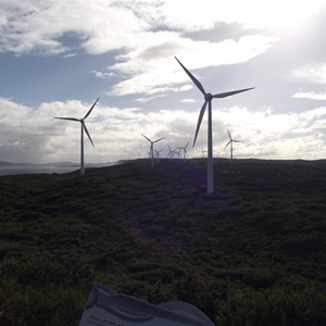 wind farm