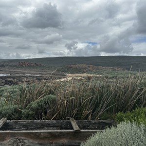 Calcified Water Wheel