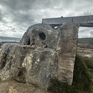 Calcified Water Wheel