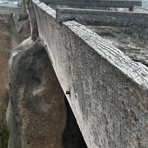 Calcified Water Wheel