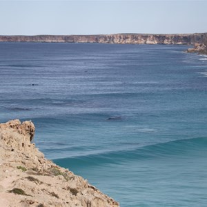 Bunda cliffs with whales in forground