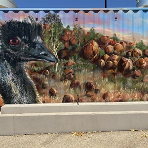 Mural at Mount Isa