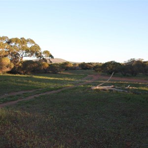 Kododo Camp Ground - Gawler Ranges