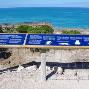 Head of the Bight