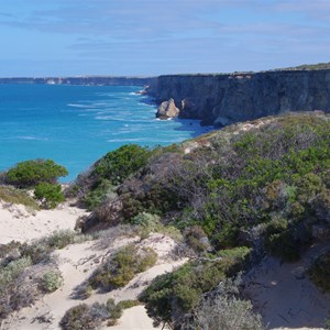 Head of the Bight