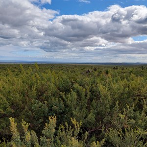 Nilgen Lookout