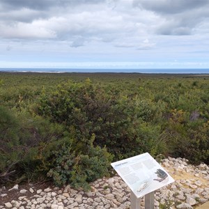 Nilgen Lookout