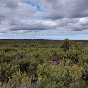 Nilgen Lookout