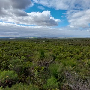 Nilgen Lookout