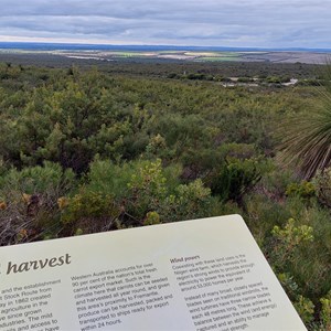 Nilgen Lookout