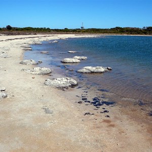 Stromatolites line the shore.