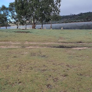 Lake Burrendong State Park