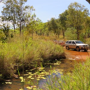  Fern Creek late May 2013