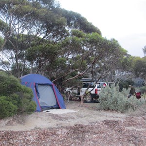 Spalding cove camp site