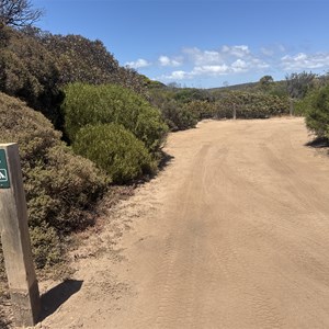 Carcase Rock Campsite