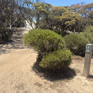 Carcase Rock Campsite