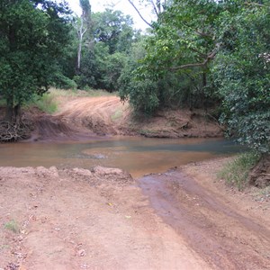 Necktie creek rainforest setting