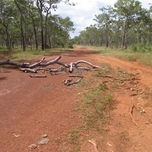 Road scenery west of creek