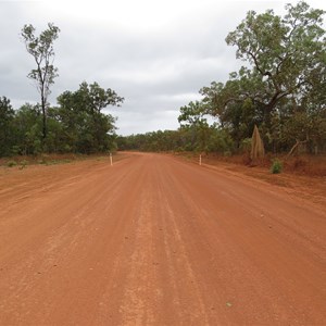 Road between Lydia and Moonlight creeks