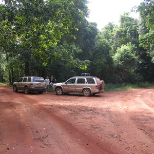 Junction in the rainforest