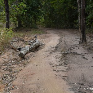 Roma Flat Track