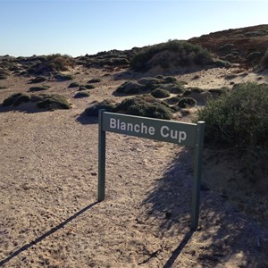 Blanche Cup