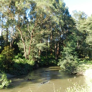 Franklin River Rest Area