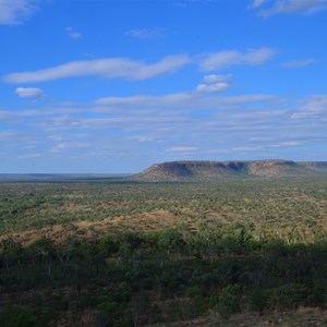 View from the Bench