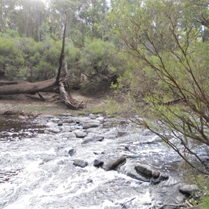 Red Gully - Blackwood River