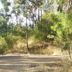 Red Gully - small camp area