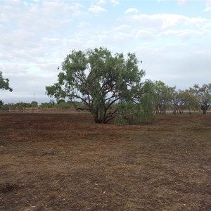 leichhardt Lagoon Camping Park