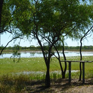Leichhardt Lagoon Camping Park