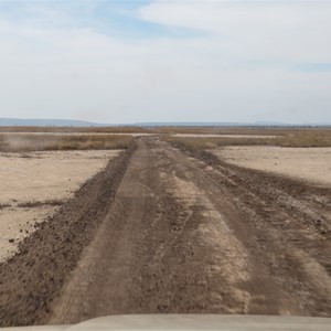 Graded section on mudflats - June 2013