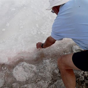 Salt crystals on the surface of Savory Creek