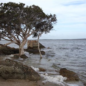 Stokes Inlet 