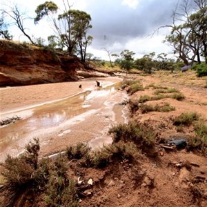 Irwin River