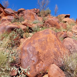 Punda Petroglyph Site