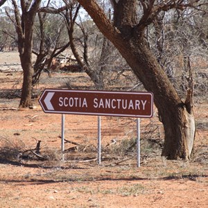 Pine Hut-Springwood Road and Scotia Sanctuary intersection